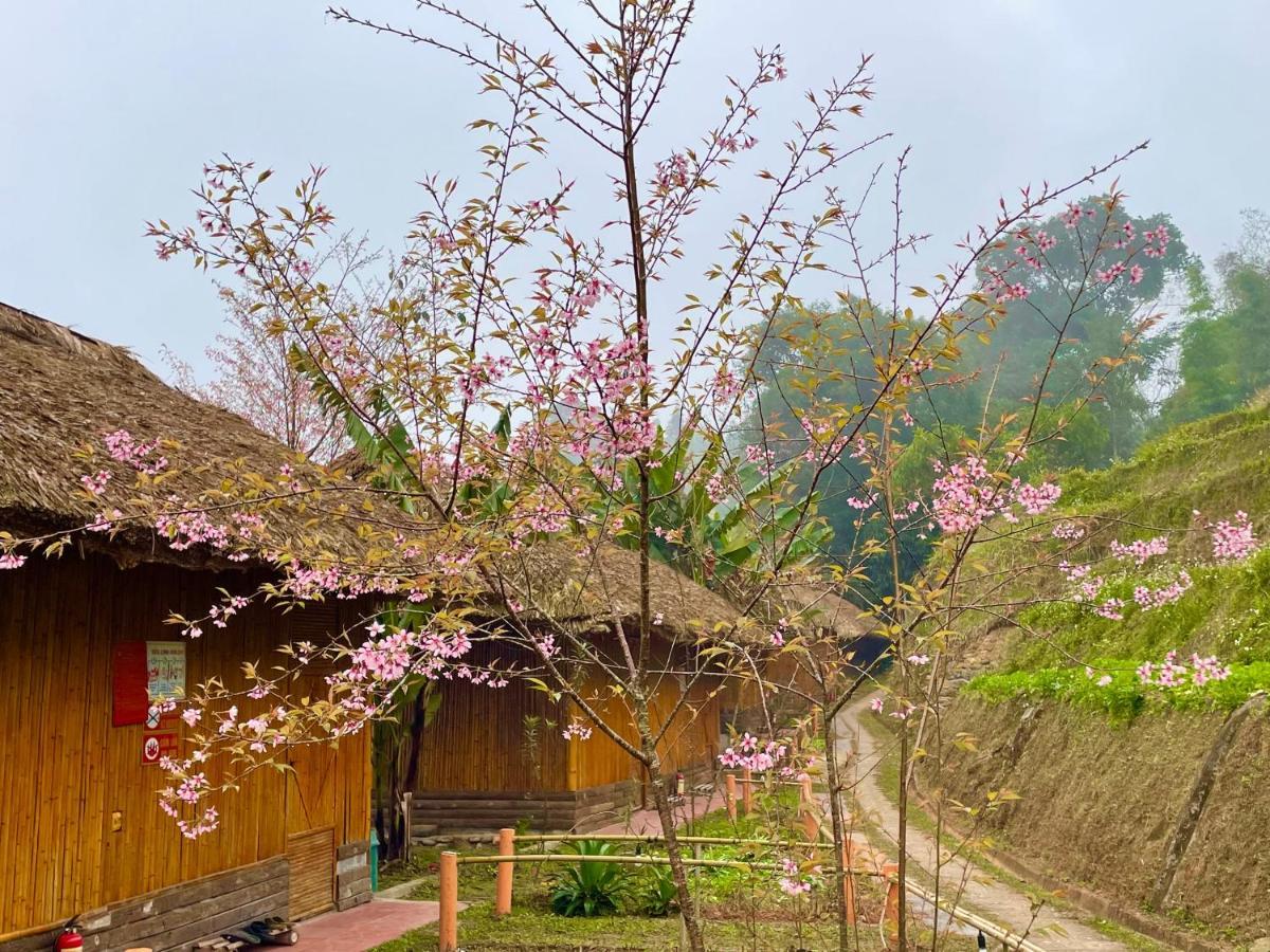 Hoang Su Phi Bungalow Екстер'єр фото